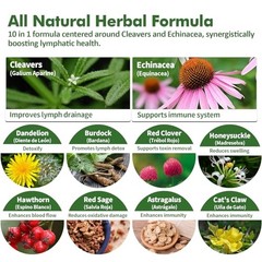 Nurbetoxa Cleavers Lymphatic Drainage Drops for Lymph 2 Fl Oz (Pack of 1)