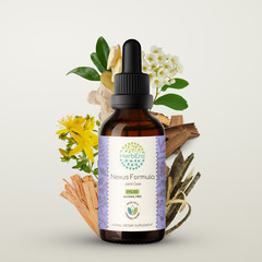HerbEra Nexus Formula Alcohol-FREE Tincture. Muscle and Joint Care