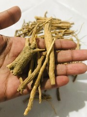 Ceylon Organic Ashwaganda Root Whole Herb Withania somnifera High Quality Sticks