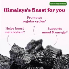 Better Alt She-Lajit Honey Sticks for Women – Himalayan Shilajit – 21ct