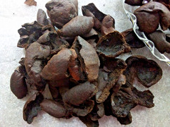 Organic Black Walnut Hull Dried Cut ~ Juglans Nigra ~ 100% Premium 8 ounces/8 oz