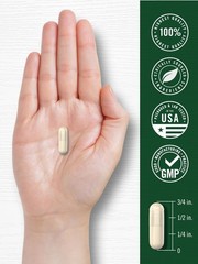 Non-GMO White Kidney Bean Extract 200 Count | Gluten-Free Dietary Supplement