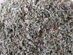 DAMIANA, MARSHMALLOW, AND MULLEIN LEAF BLEND 2 OZ TEA-INFUSION
