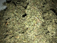 MULLEIN & DAMIANA & MARSHMALLOW herb blend ORGANIC leaf mix – oz 1 2 4 8 lb