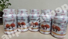 Gano Excel Ganoderma Lucidum (Lingzhi) – 90 Capsules x 5 bottles