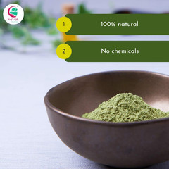 Yogi’S Gift | Sidr Powder Trial Pack 100 Grams | Natural Herbal Hair Cleanser &
