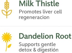 Cardo Mariano reforzado con diente Leon (Milk Thistle Reinforced w/Dandelion) 90