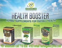 Moringa Capsules 60 Capsules Bottle Dietary Suppelment Cure All and Energy Fresh
