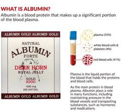 Albumin