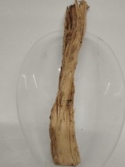 2.5oz Egbo Igi Atori/ Glyphaea Brevis Root