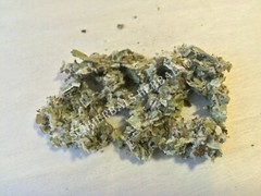 Coltsfoot, Tussilago farfara, All Natural ~ Schmerbals Herbals