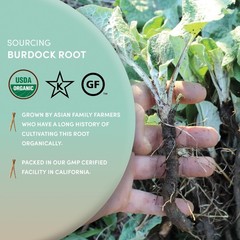 Worldwide Botanicals Organic Burdock Root – 1 lb – 100% Arctium lappa – Raíz…