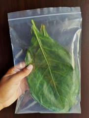Natural Dried Noni Leaves Powder Ahu Morinda Citrifolia Organic Herb Fruit