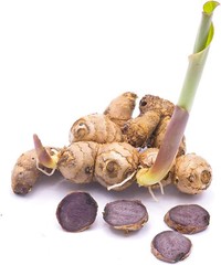 Addictive Wellness Thai Black Ginger FREEZED DRIED Dried 50 grams 1.76 Oz