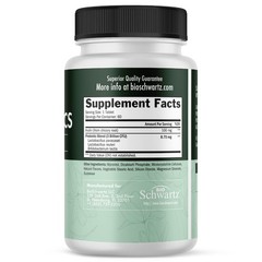 Oral Probiotics Supplement with Prebiotics – Supports 60 Count (Pack of 1)