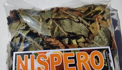 Hojas/Hierbas de Mispero Nispero Loquat leaves 4oz Herbs Natural Tea Eriobotrya