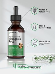 Astragalus Root Liquid Extract | 2 oz | Alcohol Free | Vegetarian | by Horbaach