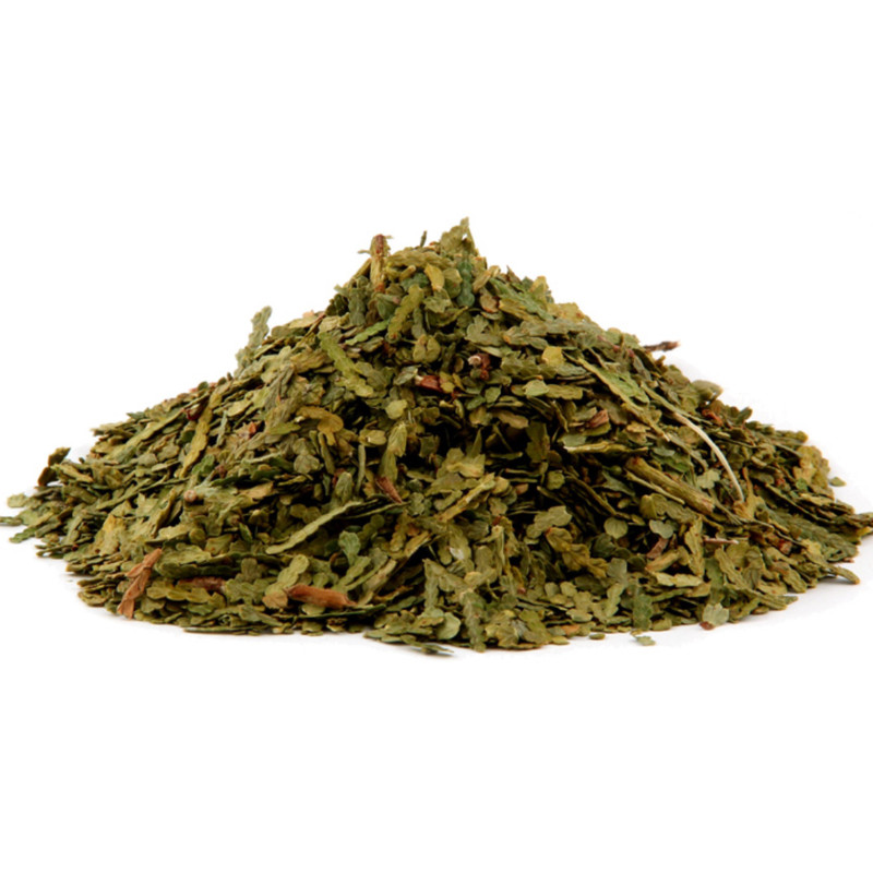 Arbor Vitae Leaves Whole Dried Sifted Herb Organic (Thuja Occidentalis)