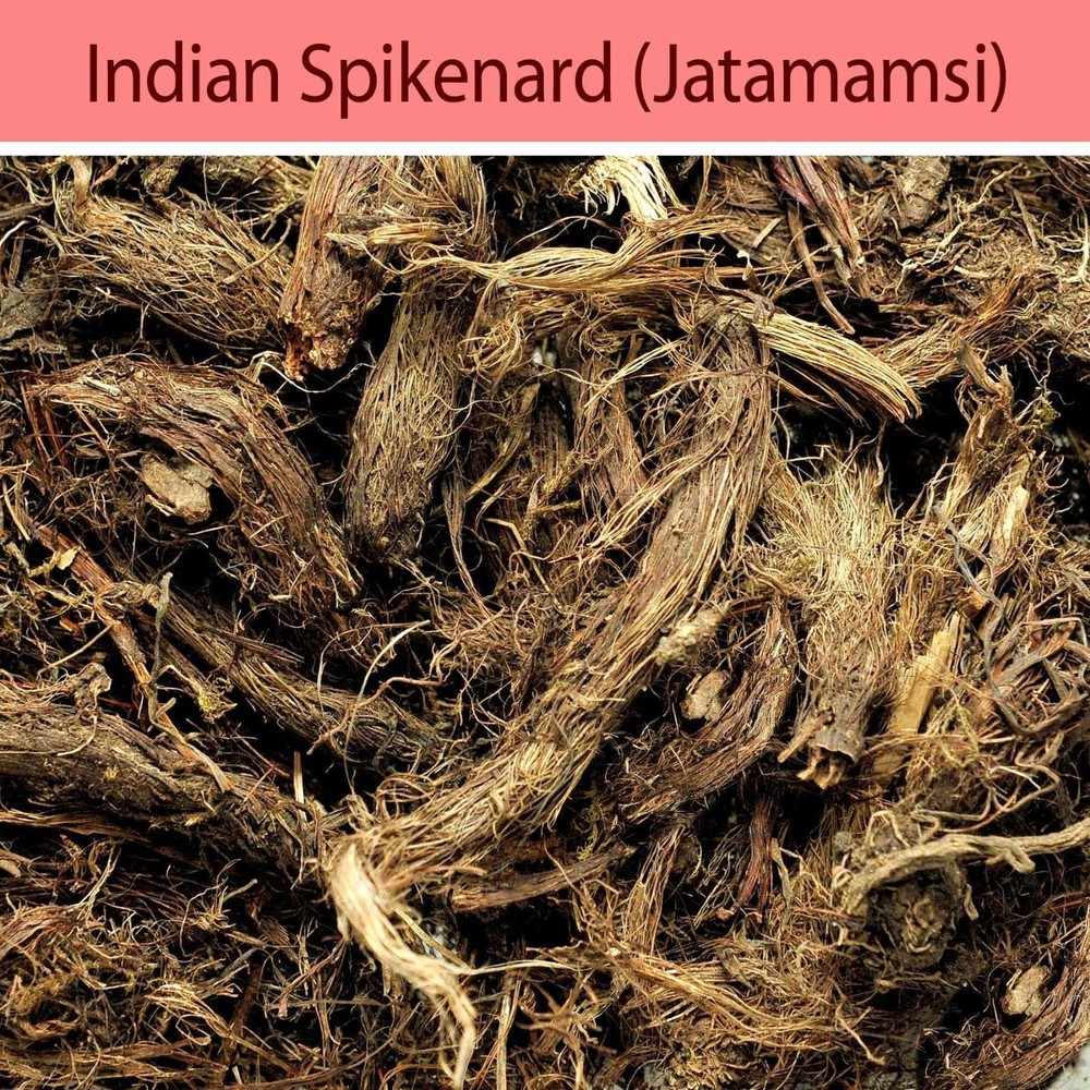 Jatamansi Root Original Balchad Jatamasi Indian Spikenard Nardostachys Jatama