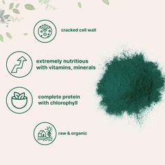 High-Quality Chlorella Powder with Broken Cell Wall for Nutrient Boost