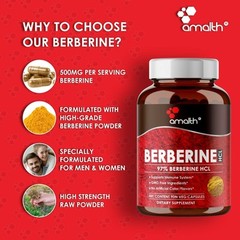 Berberine HCI Premium 97% Berberine Blood Sugar 500mg Capsules – 90 Count