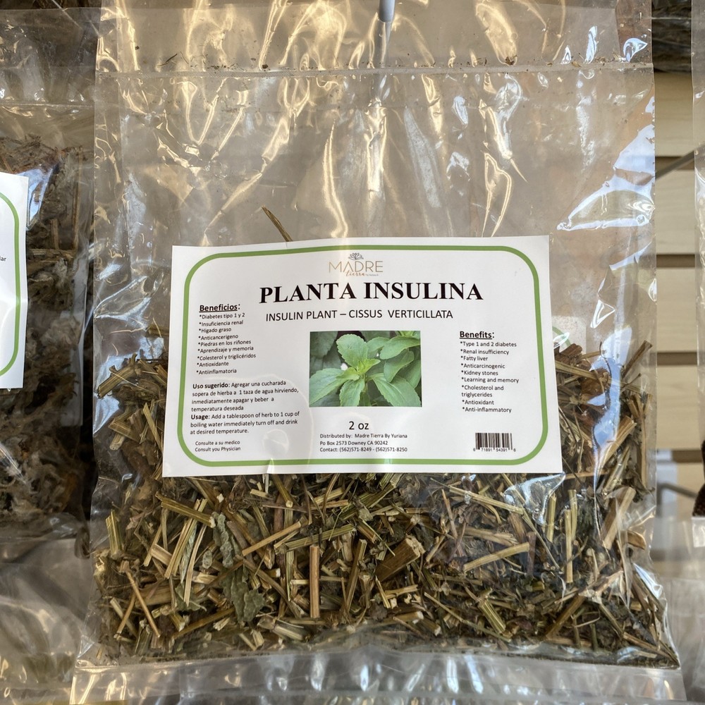 Dried Insulin Plant Leaves Natural Blood Sugar Support Ayurvedic Herbal Tea