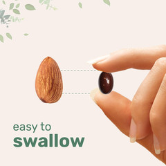 Micro Ingredients Ceylon Cinnamon | 300 Softgels with MCT Oil | Highly Bioavaila