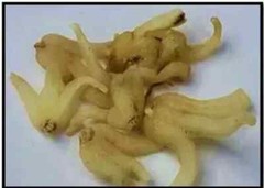 Panja Salam dactylorhiza hatagirea 100 orchid Salem Panja Hatajari WHOLE 10gm