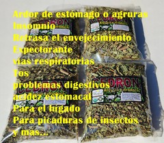 Hierba luisa,cedron,cidrón, cedrón, Aloysia citrodora, agruras, acidez estomacal