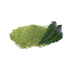 Small-Batch Harvest Moringa Powder – Raw, Vegan, Gluten-Free