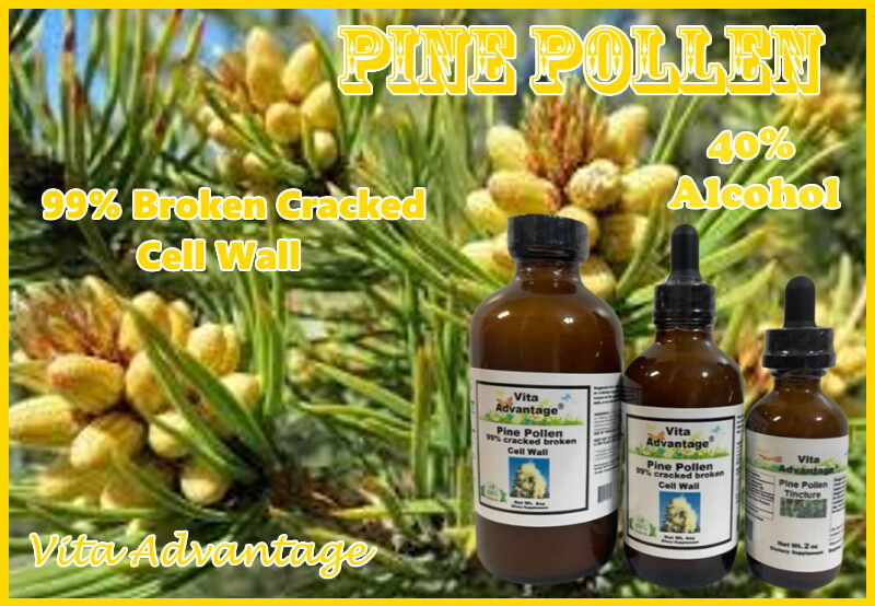 Pine Pollen Tincture, Extract, Wildcrafted Highest Quality & Strength