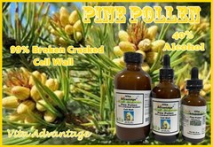 Pine Pollen Tincture, Extract, Wildcrafted Highest Quality & Strength