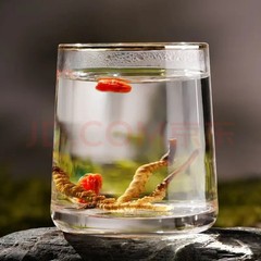 Whole Wild Himalayan Cordyceps Sinensis | 3 Grams | Best Price! | Free Shipping