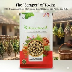 Apamarg Seeds – Achyranthes Aspera – Prickly Chaff Flower/Chirchita Seeds-400 gm