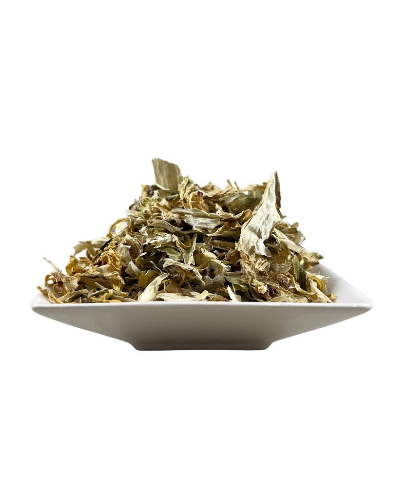 Egyptian White Lotus C/S Crushed Flowers (Nymphaea ampla) Organic FREE SAMPLE