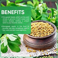 Organic Fenugreek Seeds 1 Pound – Methi for Cooking, Sprouting & Beauty Care