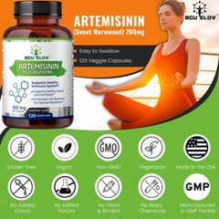 Artemisia Annua Extract Capsules Enhanced with BioPerine for Optimal Absorption