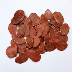Ayurvedic Herb 200g Butea Monosperma Forest Flame PALASH SEEDS WHOLE Free Ship