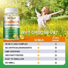 15 IN 1 Lung Complex Mullein Leaf Extract For Lungs Detox Cleanse 60/120 Caps