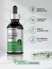 Horsetail Liquid Extract | Alcohol Free | 2 fl oz | Vegetarian | by Horbaach