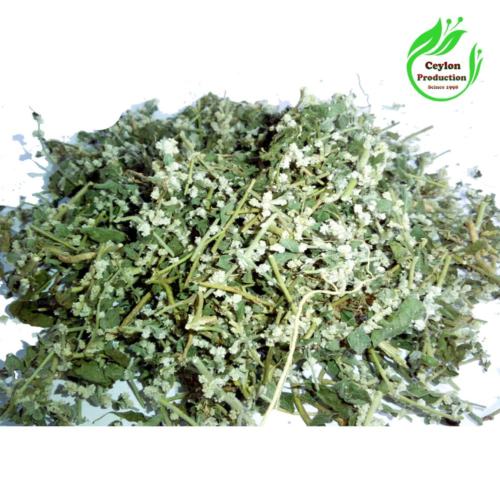 Organic Dried Polpala Natural Aerva Lanata Herbal Premium Quality
