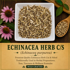 Echinacea Herb C/S Premium Cut & Sifted Echinacea Purpurea Herbal Tea | USA