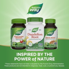 Nature’s Way Organic Dandelion Root Capsules – 100 Count Supplement