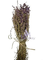 Organic Greek Dried Pennyroyal Mint Bunch 40gr – 2kg Mentha Pulegium