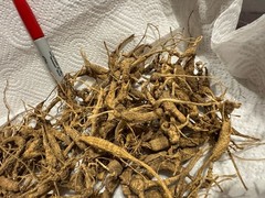 Dry Wild American Ginseng. 0.35 Lb. W/ Certificates. 2025 Harvest