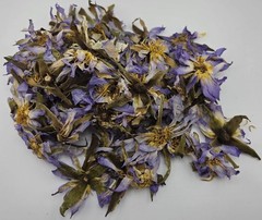 Egyptian Blue Lotus Authentic 100% (Nymphaea Caerulea)