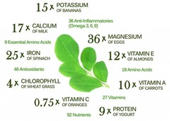 Organic Premium Moringa Seeds Kernels Dried, Non GMO, Edible,Planting