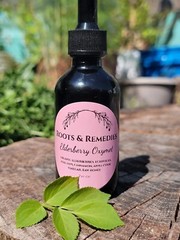 Elderberry Oxymel, shelfstable Elderberry Syrup, immunity booster, herbal health