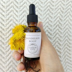Organic Dandelion Root Tincture Fresh Dandelion Extract 1 oz herbal bitters