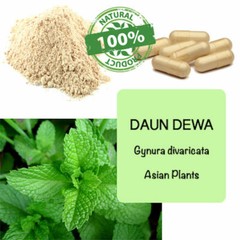 360 CAPSULES Gynura Divaricata Leaves Daun Dewa PURE Organic Wild Crafted Herbs